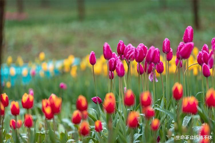 房价|你住父母家付房租了没?