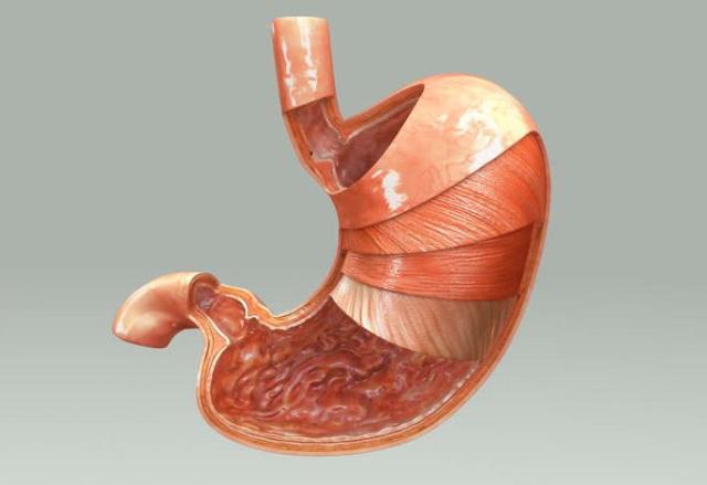 胃炎|胃炎不用光吃药,坚持做好这些事,胃可能会好受些