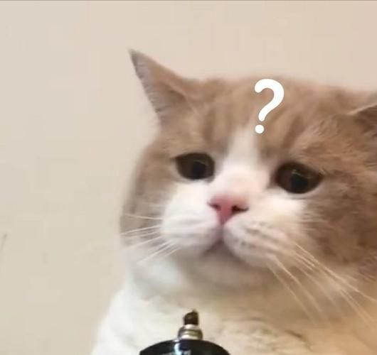 铺瓷砖时,工人说用瓷砖胶比水泥砂浆好?别轻信,八成想坑你