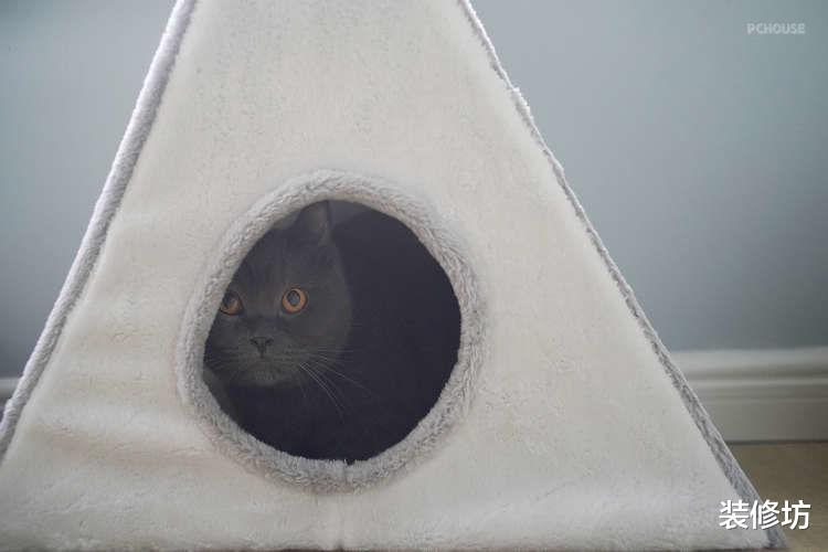 北欧又日式，小户型一定要做足温馨感，家就该如此温暖