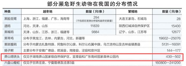 一条就价值100万？中国特有毒蛇小青龙，为何总遭国外“惦记”？