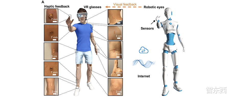 ai|打造线下版元宇宙!机器人VR助力远程做核酸,登上Science子刊