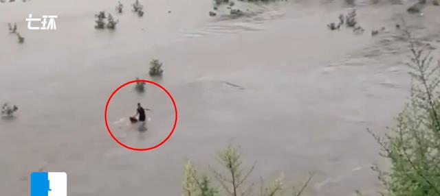 三伏天|男子野钓遇涨水,两天没有打捞到,一个技巧避免