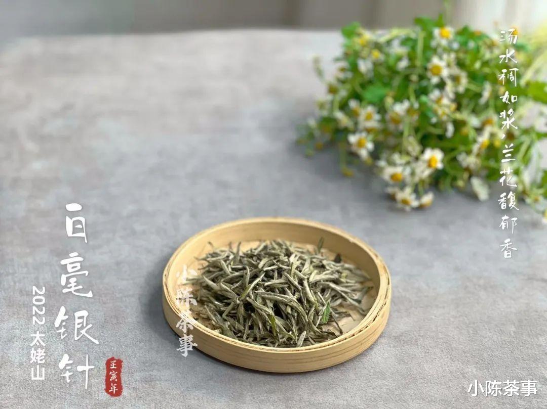 寿眉|不是说白茶越陈越香吗?那些越存越烂的白毫银针,藏着什么猫腻?