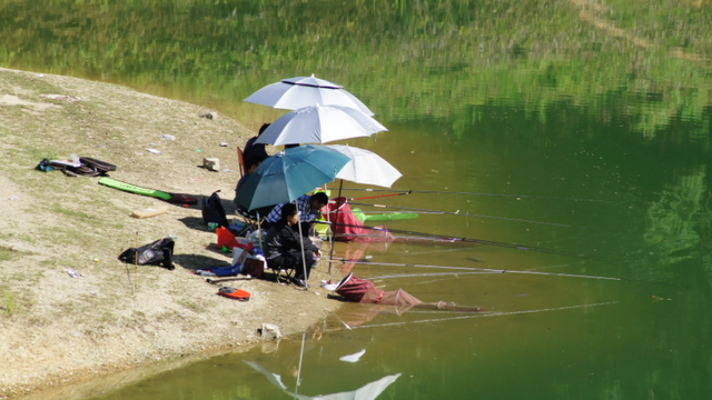 饵料|用商品饵冬钓只能用拉饵?这种情况下搓饵效果更好