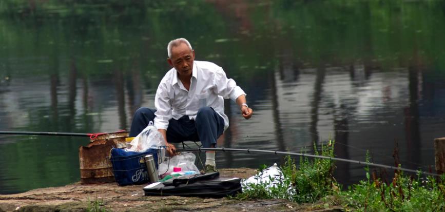 鲤鱼|什么鱼难吃,什么鱼好吃?钓鱼人不愿意吃的几种鱼