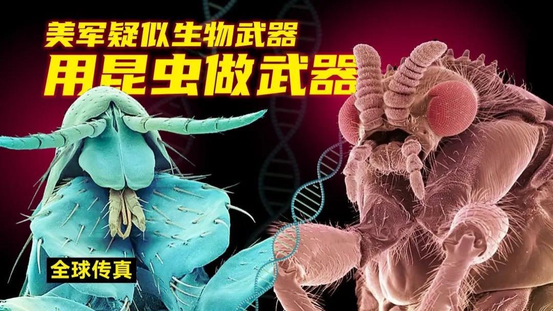 想干嘛？美国拟2年释放24亿只转基因蚊子！对人体有没有攻击性？