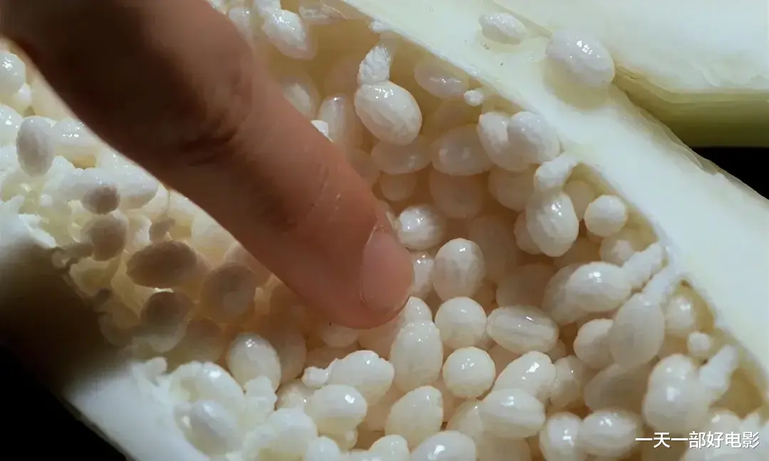 青木瓜之味|撩人的越南电影,每一帧都美如画《青木瓜之味》