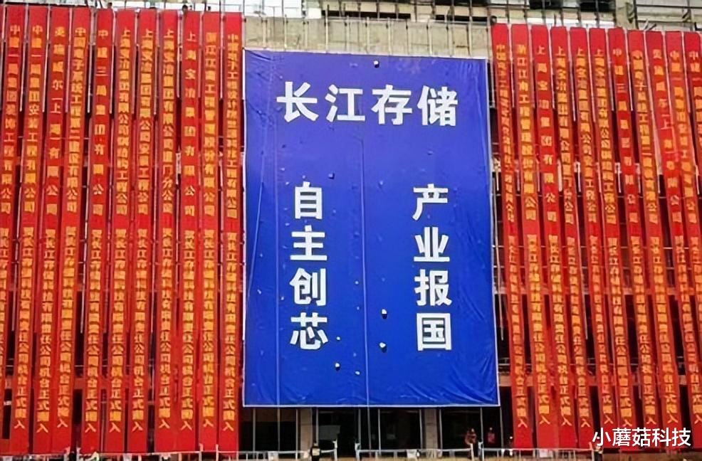 芯片|中企宣布突破，或将成NAND芯片领导者，外媒：美国受不了这刺激