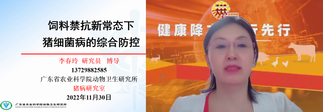 农科院动物研究所李春玲:饲料禁抗新常态下,猪细菌病如何进行综合防控?