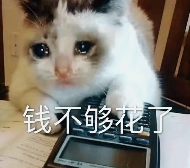 消费降级|“我不舍得点超过30元的外卖”：这届九零后，开始消费降级