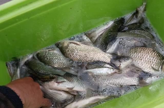 饵料|深冬野钓“禁五条”,任沾一个都会走空