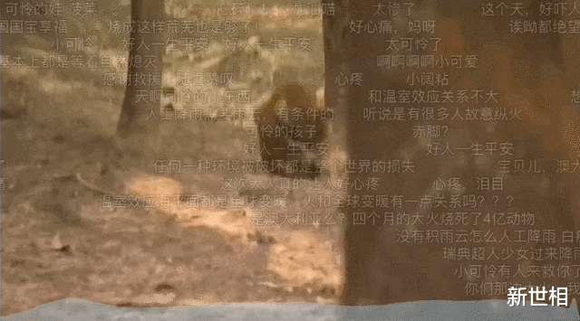 受不了了,别让她死于这场高烧