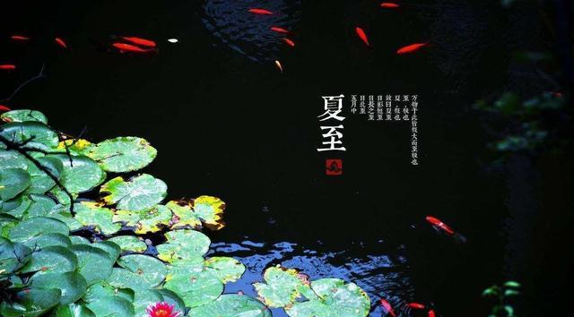 饵料|夏至过后钓鱼，学会这几招，别人空军你爆护，大鱼小鱼任你钓2