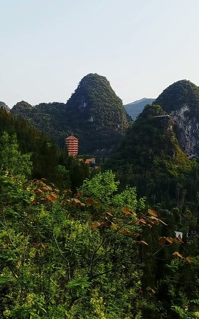 万峰林|千姿百态的万峰林景区，风景宜人