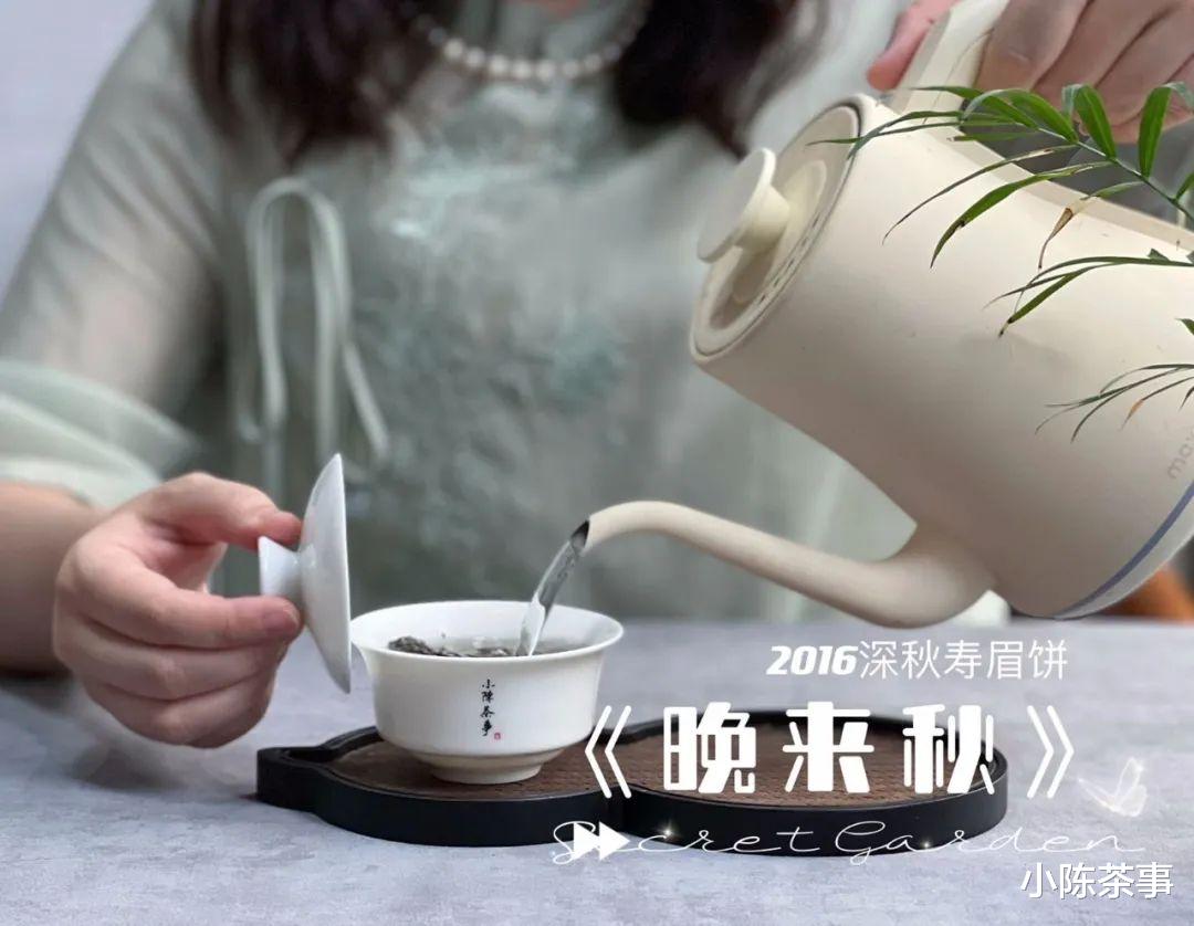 2013年的老寿眉饼，汤色红，有点甜，为什么老白茶这么像红茶？