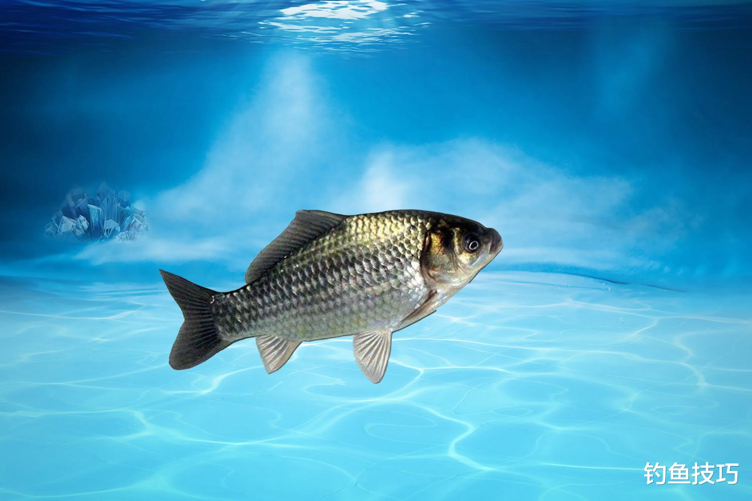 |夏季气温和水温变化对钓鱼的影响,鱼口的好坏都与温度有关