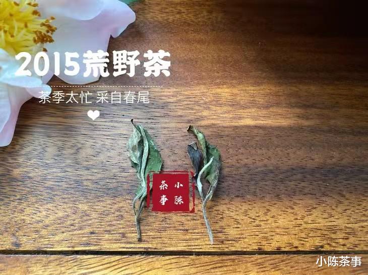 白茶这么绿，和绿茶有什么不同？老茶客：区别很大，看懂再买