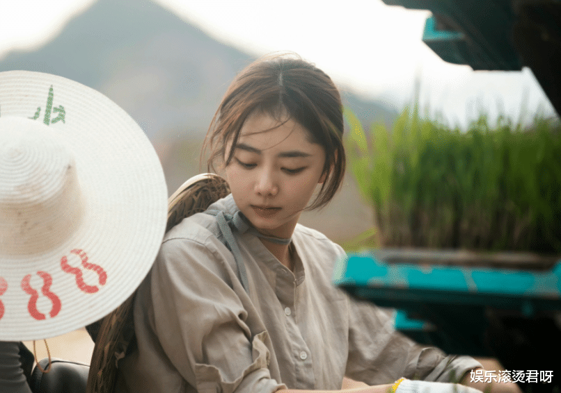 王凯|没盼到胡歌《县委大院》,却等来了《沙漠之光》,王凯抓到王炸了