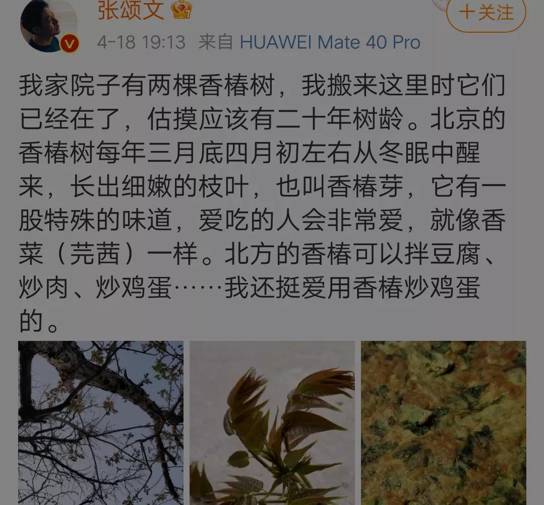 张颂文|“展翔”张颂文,晒院中两颗20年的老树,网友:好吃,就是有点贵