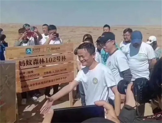 网络安全法|马云斥巨资在沙漠里种的树，如今成啥样了？