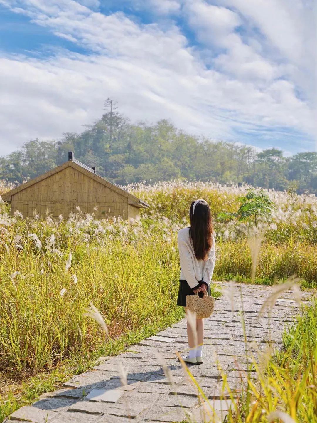 儋州|高铁仅需10min,红叶不输京都,秋冬美食滋补,美到王鹤棣也来打卡