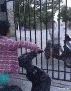 |演员拍戏取景被驱赶、被无视、被举报,明星回归“戏子”身份了?