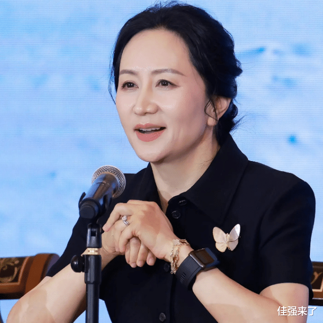 孟晚舟|因为一个“天价”胸针，孟晚舟被网友怼得“体无完肤”？