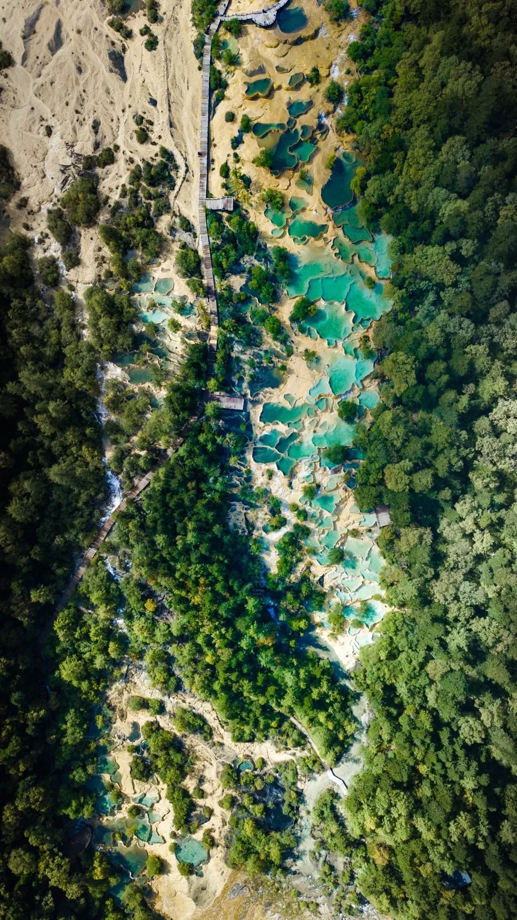 苏州|世间景,皆松潘!