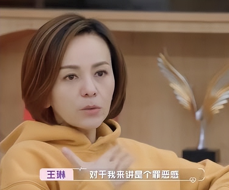 王琳|“雪姨”王琳：两段豪门婚姻都有创伤，离婚后独自带娃，52岁仍单身