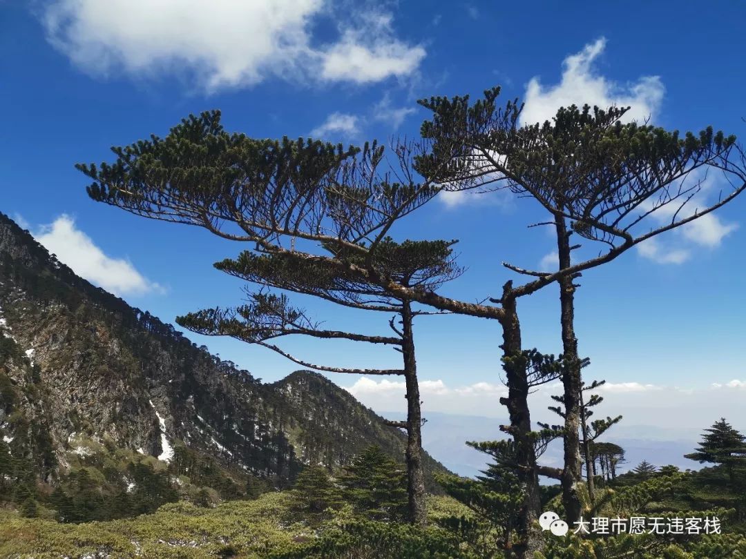 大理|大理苍山旅行，最佳游览线路，123线全搞定！