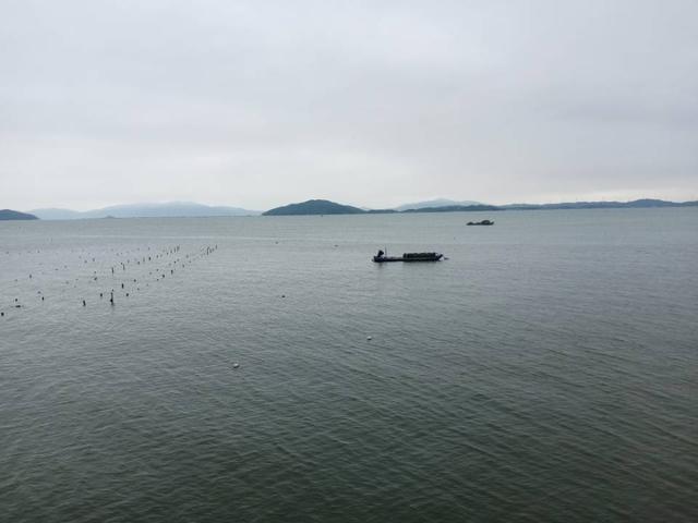 |钓鱼站队题:外出钓鱼,你是看时间?还是看天气?