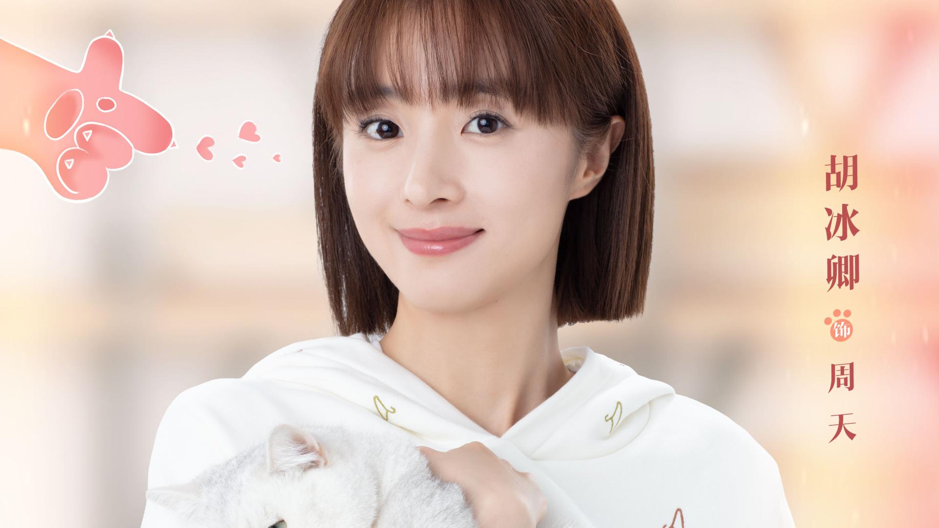 宁夏|胡冰卿《一不小心喵上你》开播 经纪人周天职场开练