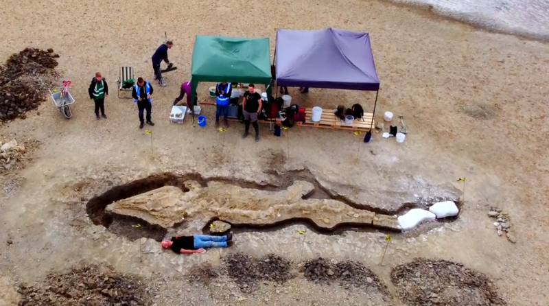 英国水库发现巨大史前“海龙”化石