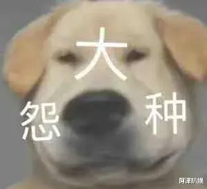 杨丞琳|他俩也悄悄离婚了？