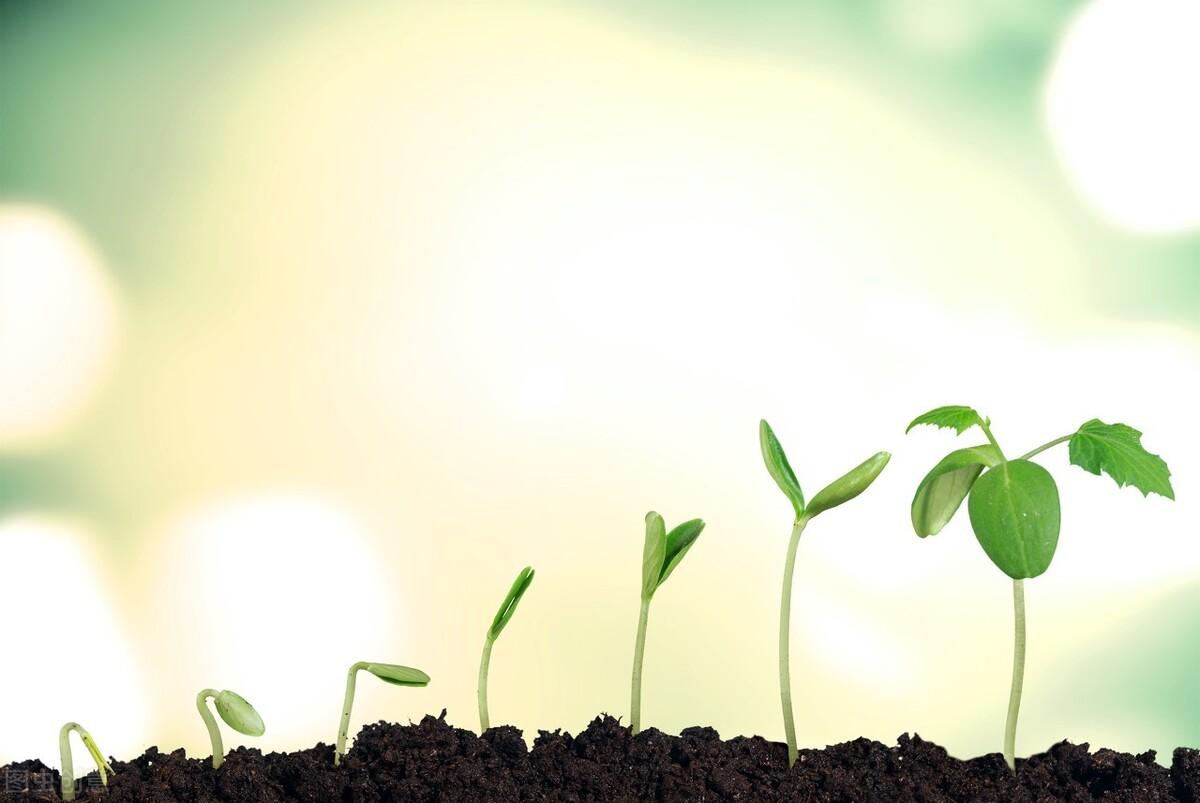 非线性成长|《非线性成长》,如何找到自己的职业之路(一)