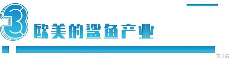 姚明|姚明被骗13年：呼吁中国人不吃鱼翅，鲨鱼为何更濒危？