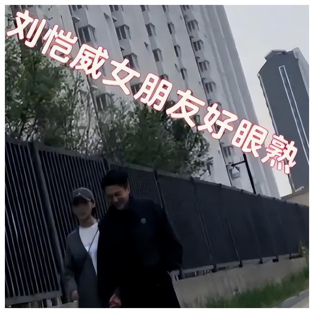 刘恺威|刘恺威的沉浮史:输了事业,赢了爱情