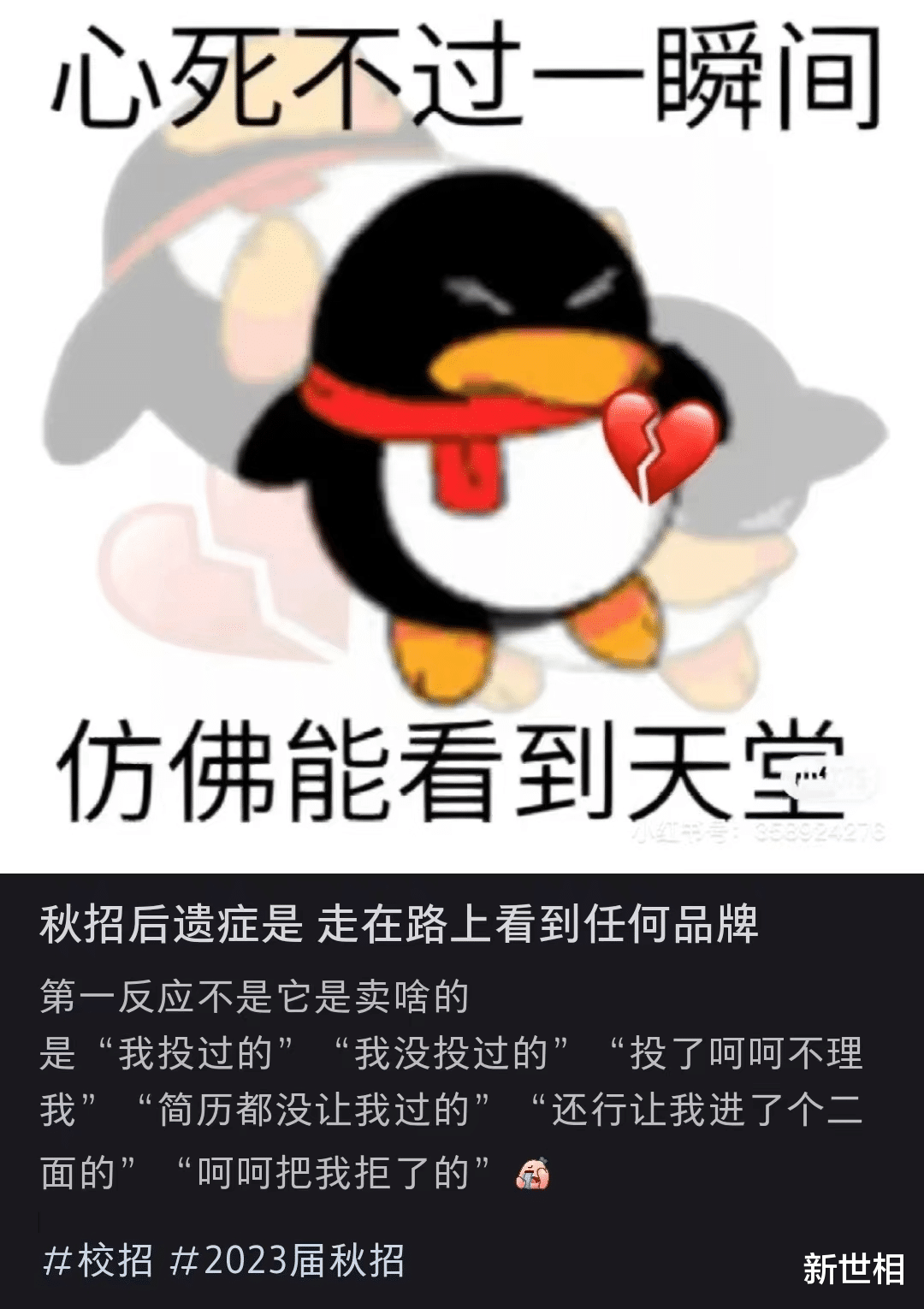 秋招|删光了关于你的朋友圈，不代表我不难过