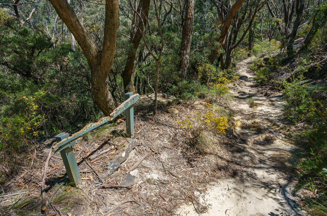 |与英格兰相比,虽类似的英伦风光,威尔士却更多了自然淳朴的味道