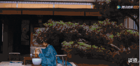 井柏然|一口气扫光29集,已疯!