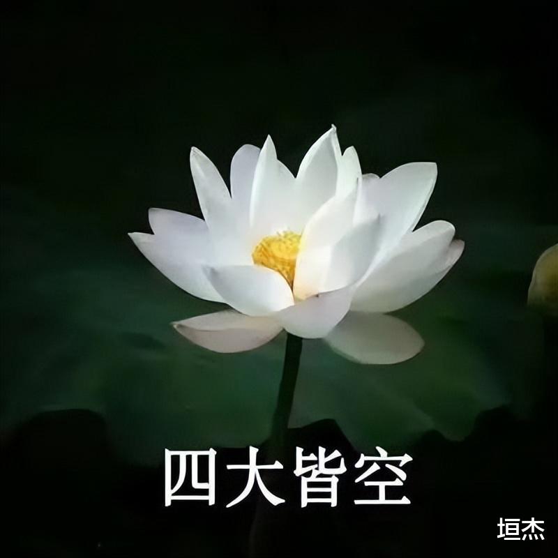 郭晓婷|郭晓婷使糊行凶？爆料拍戏像拍广告、艺人选热搜词条，真娱圈嘴替