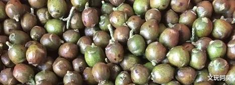 |文玩萌新篇---百香籽!