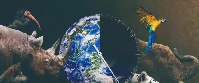 玛雅人预言:地球将会重新“洗牌”,灭绝动物重新复活或印证了!