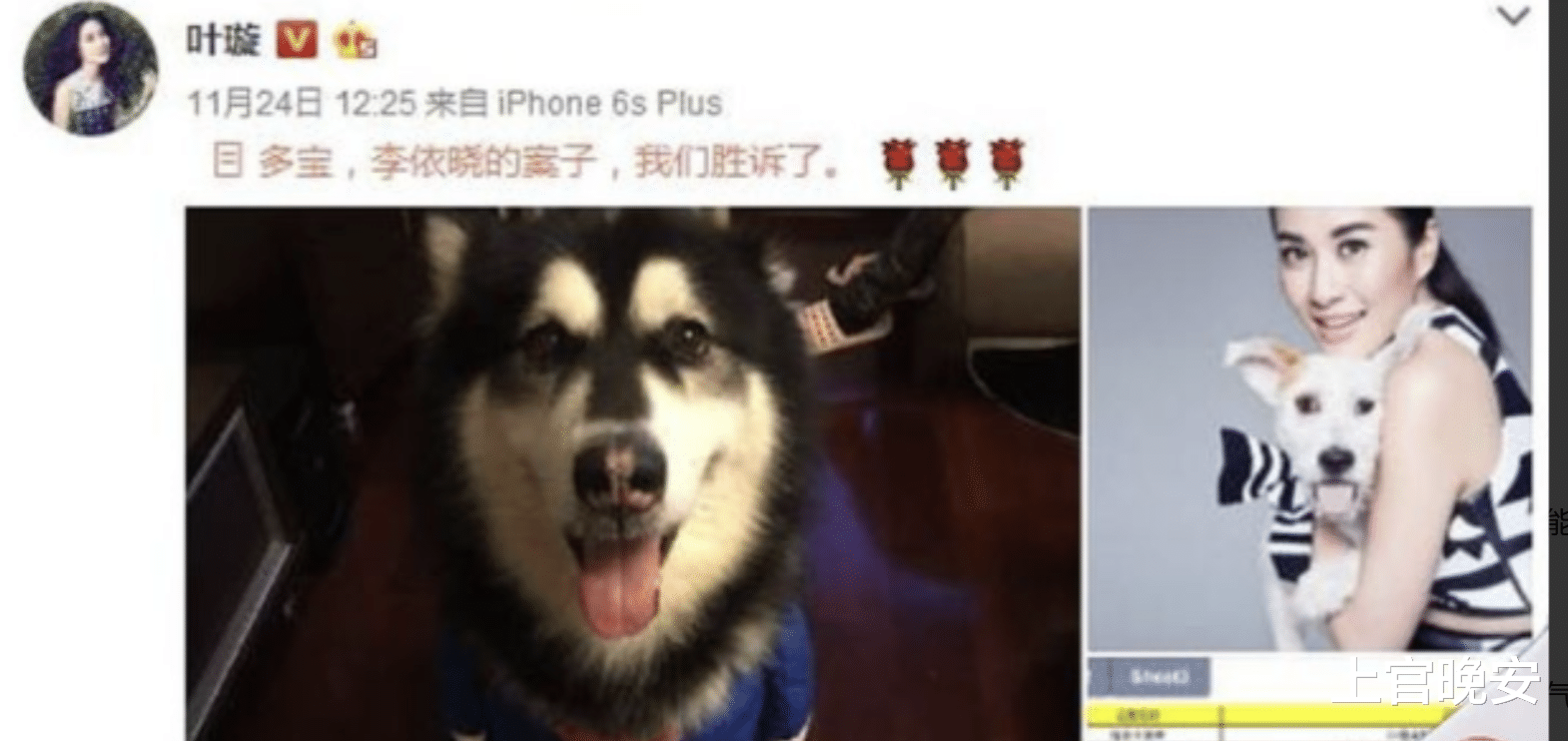 叶璇|绯闻女王、恋爱脑、低情商、抓马之神,叶璇为何能这么“作”?