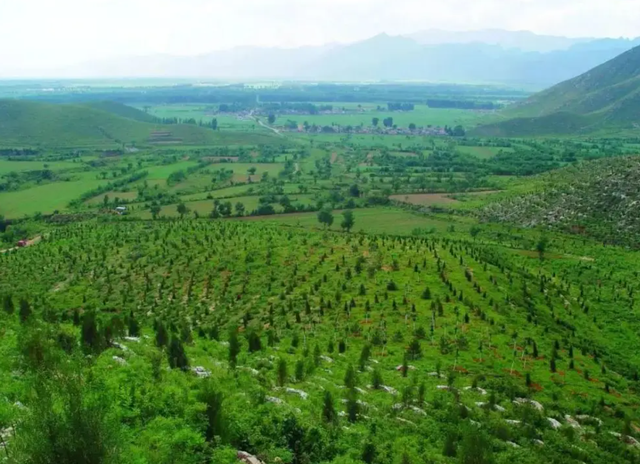 气候趋向不归路?2022年或许只是起点,很遗憾!中国无力改变世界