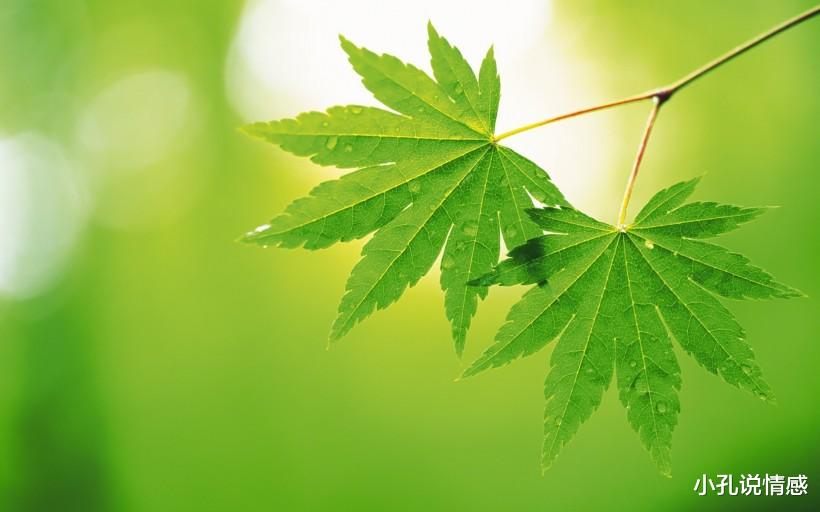 牛仔|爱上这个星座，就注定苦了自己