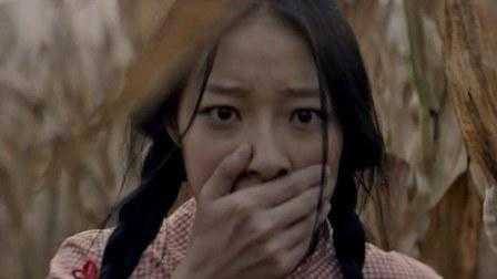 进城、被拐、获救、重返,贾平凹笔下胡蝶的人生为何步步惊心?