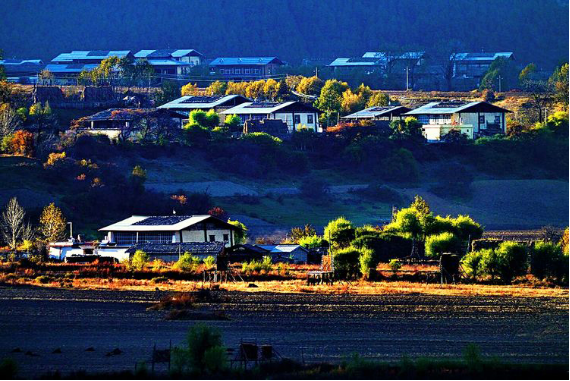 香格里拉|香格里拉大四赏花地，秋天仅剩一处绝美