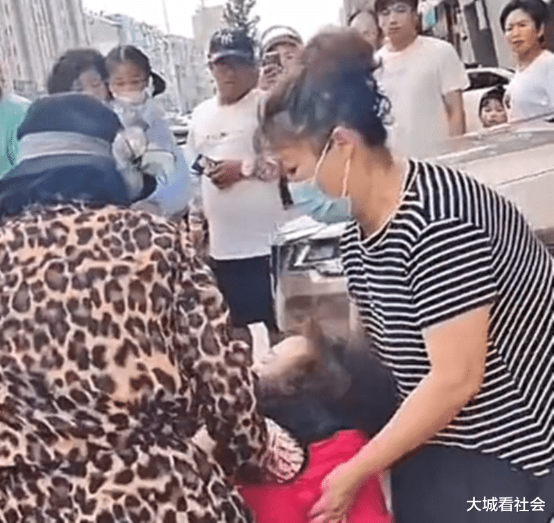 狗没拴绳被车撞后,辽宁一对夫妻跪地痛哭,妻子当场哭晕进医院